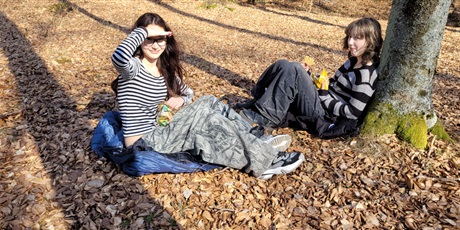 Powiększ grafikę: aplino-na-trasie-685263.jpg