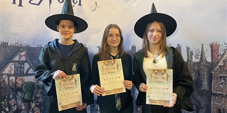 Powiększ grafikę: harry-potter-puchar-szkol-670421.jpg