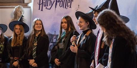 Powiększ grafikę: harry-potter-puchar-szkol-670422.jpg