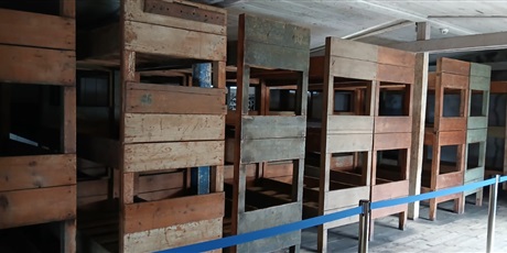 Powiększ grafikę: kl-stutthof-sztutowo-646882.jpg