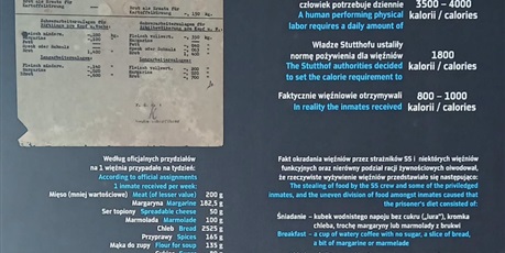 Powiększ grafikę: kl-stutthof-sztutowo-646890.jpg