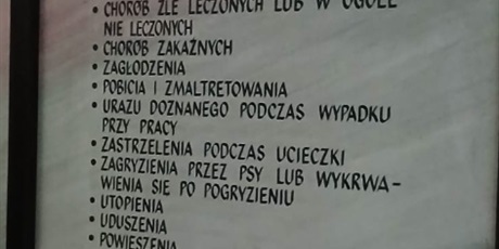 Powiększ grafikę: kl-stutthof-sztutowo-646912.jpg