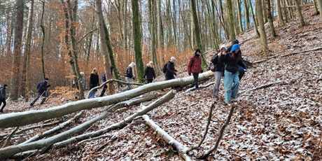 Powiększ grafikę: od-ujscia-do-ujscia-alpino-572500.jpg