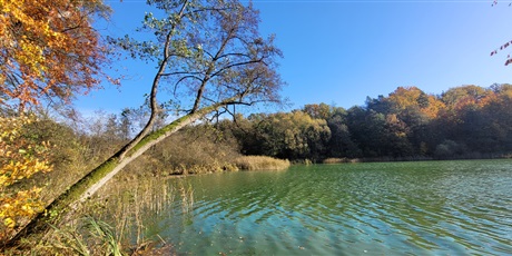 Powiększ grafikę: piesza-wycieczka-klubu-alpino-652350.jpg