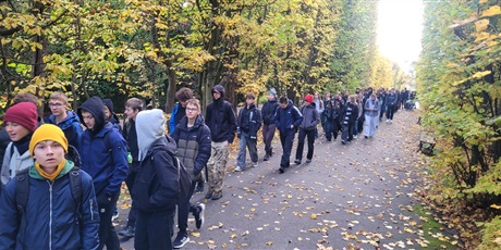Powiększ grafikę: podboj-jesiennych-lasow-718743.jpg