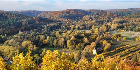 Powiększ grafikę: podboj-jesiennych-lasow-718746.jpg
