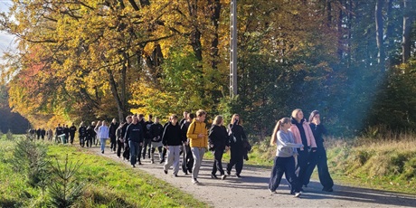Powiększ grafikę: podboj-jesiennych-lasow-718747.jpg