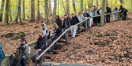 Powiększ grafikę: podboj-jesiennych-lasow-718751.jpg