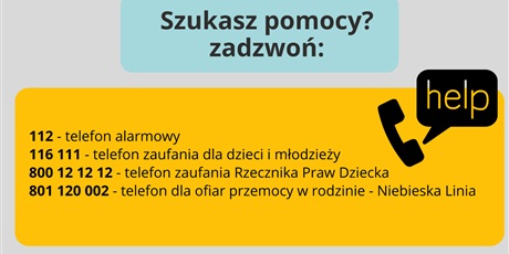 Powiększ grafikę: standardy-555312.jpg