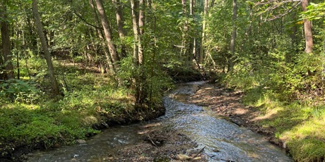 Powiększ grafikę: wejherowo-mlynki-rumia-642047.jpg