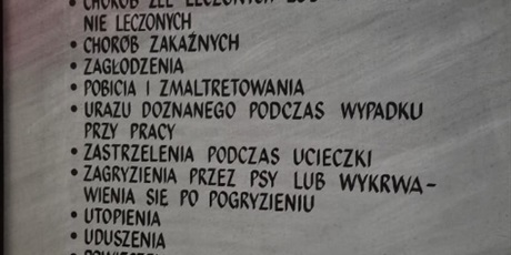 Powiększ grafikę: wycieczka-do-kl-stutthof-714426.jpg
